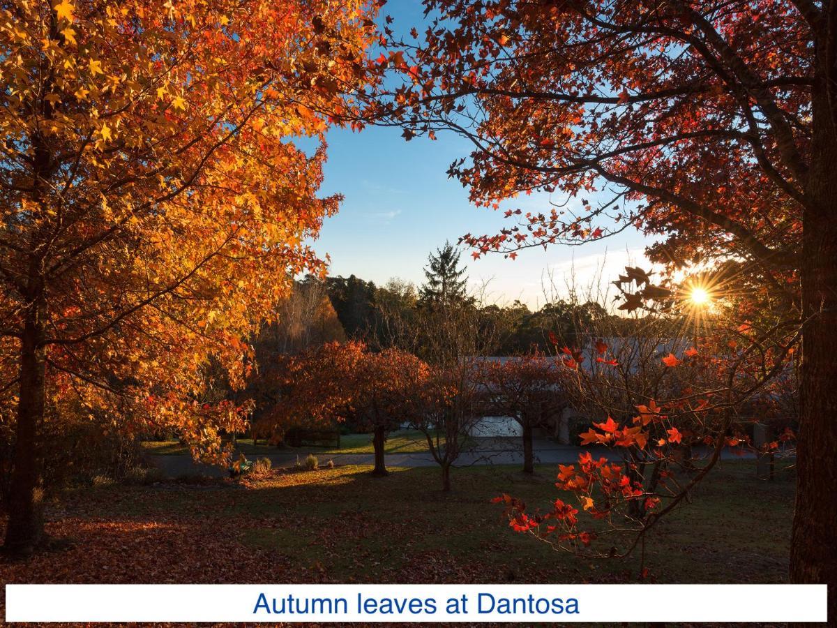 Dantosa Blue Mountains Retreat Villa Katoomba Eksteriør billede