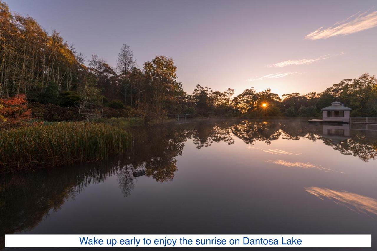 Dantosa Blue Mountains Retreat Villa Katoomba Eksteriør billede